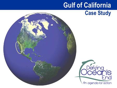 Gulf of California Case Study. U N I T E D S T A T E S So n o r a S i n a lo a Nayarit Baja California Baja California Sur M E X I C O A Unique Ecosystem.