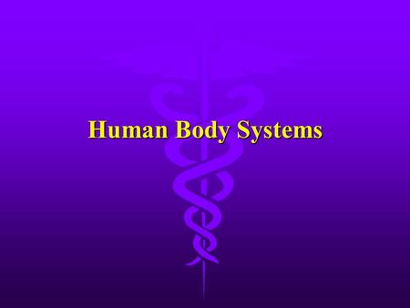 Human Body Systems. Respiratory System l Function: l Breathing brings air into the lungs and removes waste gases l Cellular respiration converts oxygen.