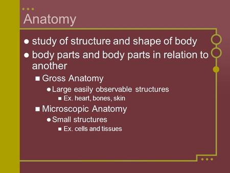 Anatomy study of structure and shape of body
