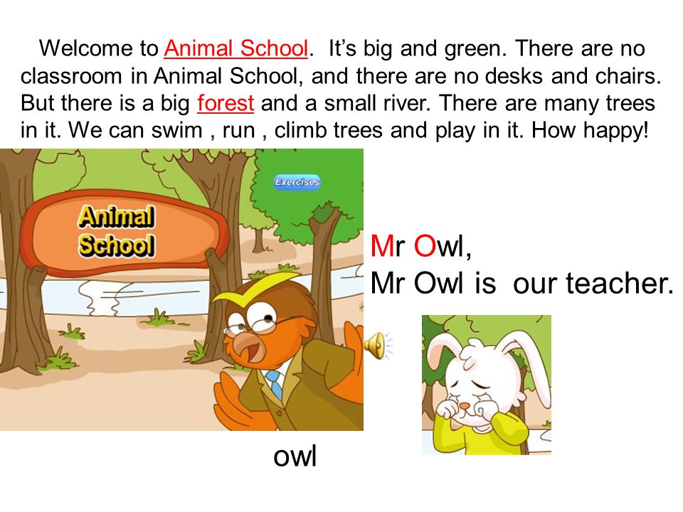 animal school小报,myschool手抄报 m3u1inmyschoolanimalschool