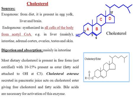 Cholesterol Cholesterol Sources: