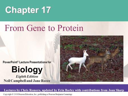 Chapter 17 From Gene to Protein.