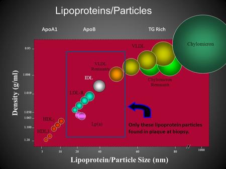 Lipoproteins/Particles