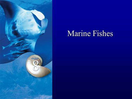 Marine Fishes. What is a fish?? Classic definition: -Any of numerous cold-blooded aquatic vertebrates of the superclass Pisces, characteristically having.