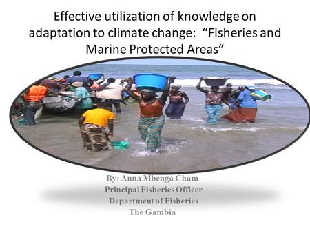 Effective utilization of knowledge on adaptation to climate change: “Fisheries and Marine Protected Areas” By: Anna Mbenga Cham Principal Fisheries Officer.