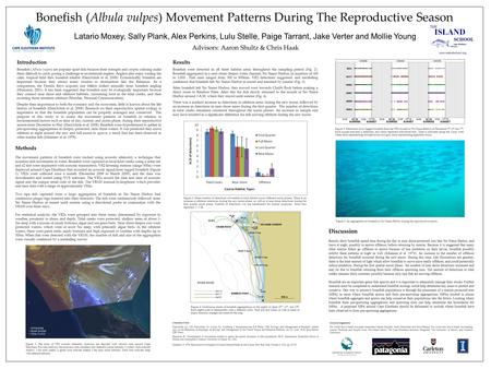 Bonefish (Albula vulpes) Movement Patterns During The Reproductive Season Latario Moxey, Sally Plank, Alex Perkins, Lulu Stelle, Paige Tarrant, Jake Verter.