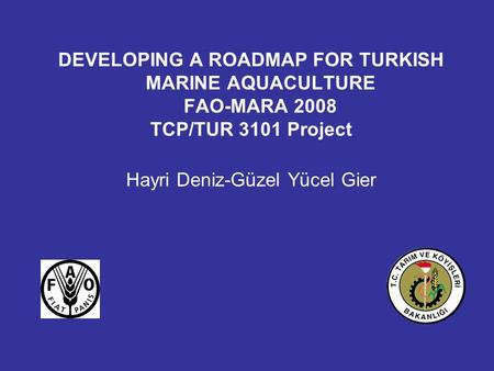 DEVELOPING A ROADMAP FOR TURKISH MARINE AQUACULTURE FAO-MARA 2008 TCP/TUR 3101 Project Hayri Deniz-Güzel Yücel Gier.