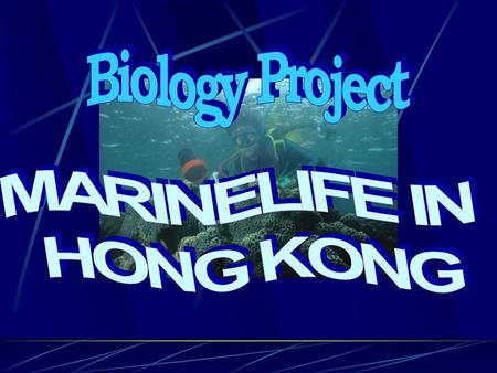 Introduction Marine Parks Marine conservation Marinelife in Hong Kong Corals Seagrass Fish Chinese White Dolphin Green turtle Others Reference.