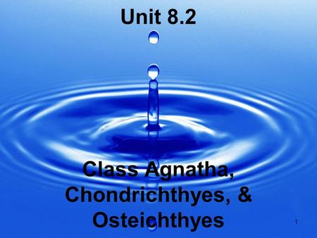 1 Unit 8.2 Class Agnatha, Chondrichthyes, & Osteichthyes.