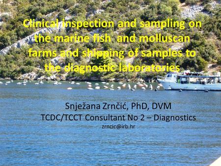 Clinical inspection and sampling on the marine fish and molluscan farms and shipping of samples to the diagnostic laboratories Snježana Zrnčić, PhD, DVM.