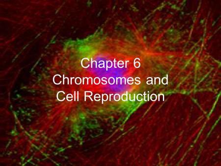 Chapter 6 Chromosomes and Cell Reproduction