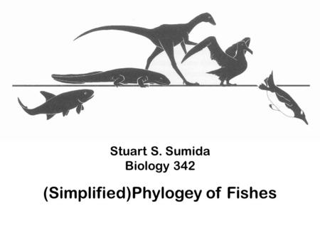 Stuart S. Sumida Biology 342 (Simplified)Phylogey of Fishes.