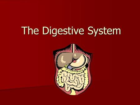 The Digestive System. How is food digested? Digestion involves: Breaking down of food into smaller pieces Breaking down of food into smaller pieces The.