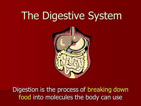The Digestive System Digestion is the process of breaking down food into molecules the body can use.