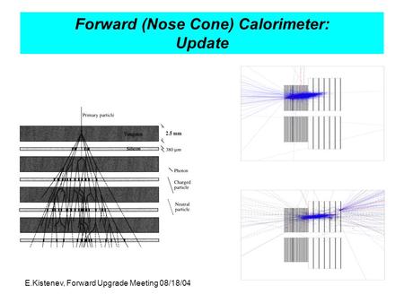 E.Kistenev, Forward Upgrade Meeting 08/18/04 Forward (Nose Cone) Calorimeter: Update 2.5 mm.