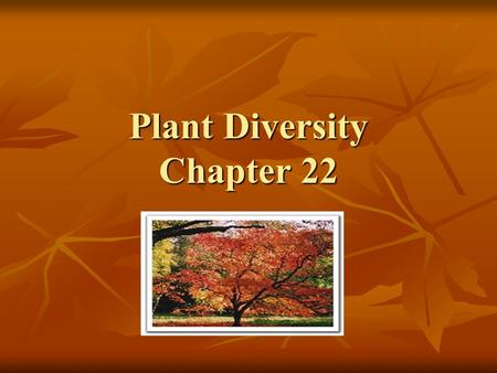 Plant Diversity Chapter 22. What is a Plant? Plants are the base for the food chain on land. Plants are the base for the food chain on land. Provide shade,
