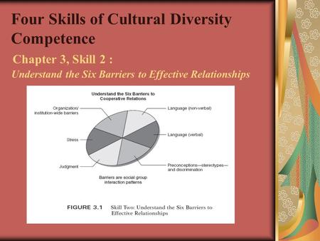 Four Skills of Cultural Diversity Competence