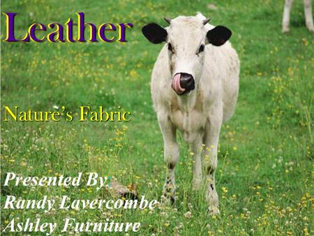 Presented By: Randy Lavercombe Ashley FurnitureLeatherLeather Nature’s Fabric.
