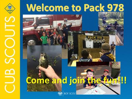 Welcome to Pack 978 Come and join the fun!!!.  Cub Scout sign  Cub Scout salute Welcome  Pledge of Allegiance.