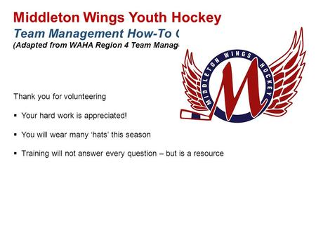 Middleton Wings Youth Hockey