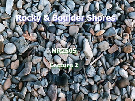 Rocky & Boulder Shores MR2505 Lecture 2.