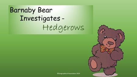 Barnaby Bear Investigates – Hedgerows ©Geographical Association 2014.