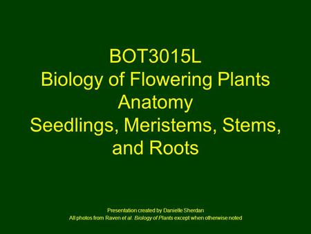 BOT3015L Biology of Flowering Plants Anatomy Seedlings, Meristems, Stems, and Roots Presentation created by Danielle Sherdan All photos from Raven et al.