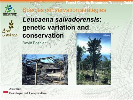 Species conservation strategies Leucaena salvadorensis: genetic variation and conservation David Boshier.