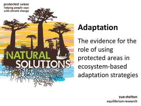 Adaptation The evidence for the role of using protected areas in ecosystem-based adaptation strategies sue stolton equilibrium research.