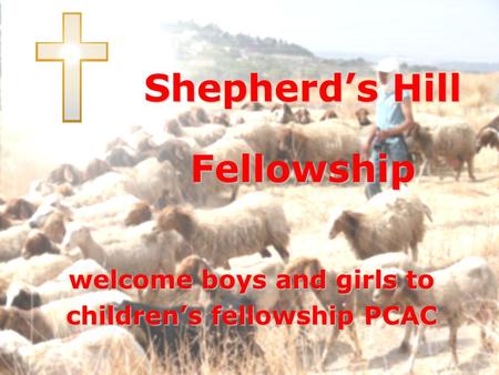 Shepherd’s Hill Fellowship welcome boys and girls to children’s fellowship PCAC.