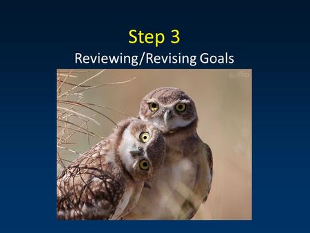 Step 3 Reviewing/Revising Goals Nicholas Fisichelli, Cat Hawkins Hoffman NPS Climate Change Response Program.