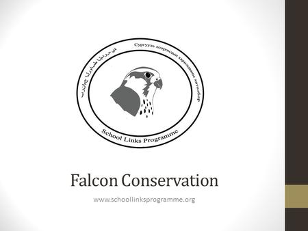 Falcon Conservation www.schoollinksprogramme.org.