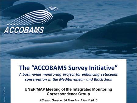 The “ACCOBAMS Survey Initiative” A basin-wide monitoring project for enhancing cetaceans conservation in the Mediterranean and Black Seas UNEP/MAP Meeting.