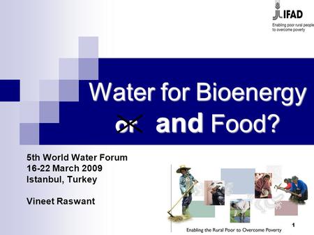 1 Water for Bioenergy or and Food? 5th World Water Forum 16-22 March 2009 Istanbul, Turkey Vineet Raswant.