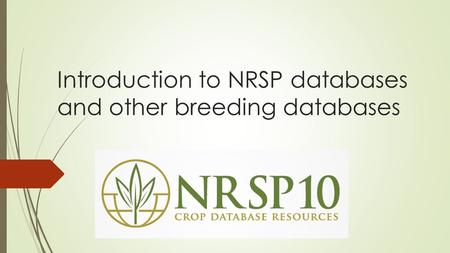 Introduction to NRSP databases and other breeding databases.