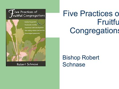 Five Practices of Fruitful Congregations Bishop Robert Schnase.