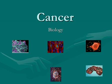 Cancer Biology Biology. US Statistics 1 million new cases diagnosed each year1 million new cases diagnosed each year #2 cause of death#2 cause of death.