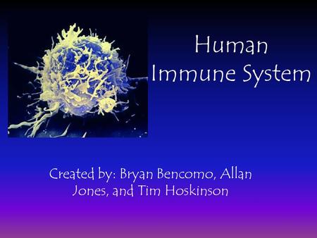 Human Immune System Created by: Bryan Bencomo, Allan Jones, and Tim Hoskinson.