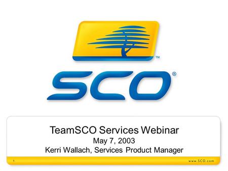 1 TeamSCO Services Webinar May 7, 2003 Kerri Wallach, Services Product Manager.