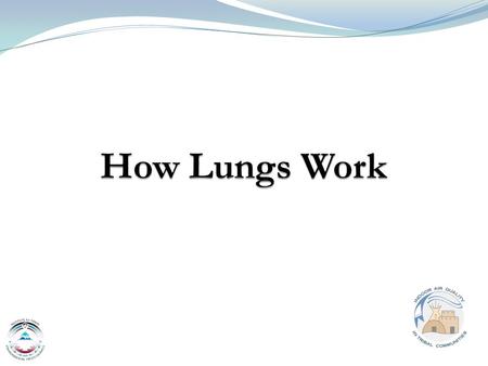 1 Mansel Nelson, ITEP. 2 Outline Normal anatomy and function of lungs Natural defenses of airways Common pollutants can injure lungs Common lung diseases.