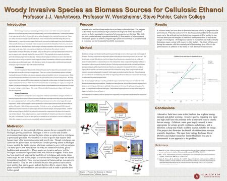 Woody Invasive Species as Biomass Sources for Cellulosic Ethanol Professor J.J. VanAntwerp, Professor W. Wentzheimer, Steve Pohler, Calvin College Woody.