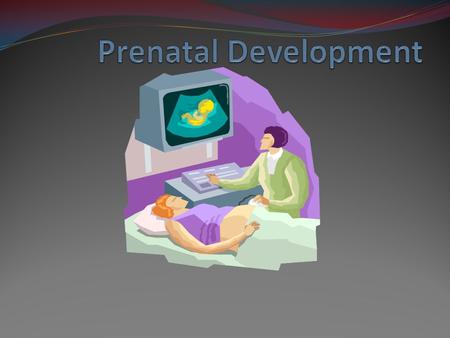 Prenatal Development.