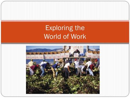 Exploring the World of Work