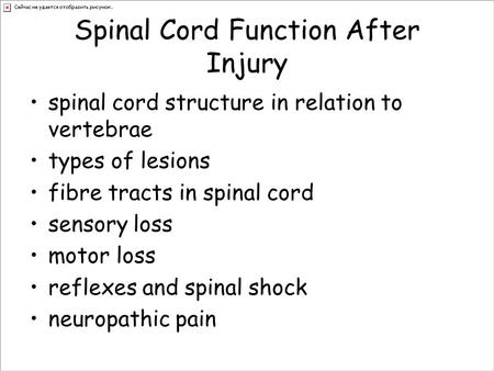 Spinal Cord Function After Injury spinal cord structure in relation to vertebrae types of lesions fibre tracts in spinal cord sensory loss motor loss reflexes.