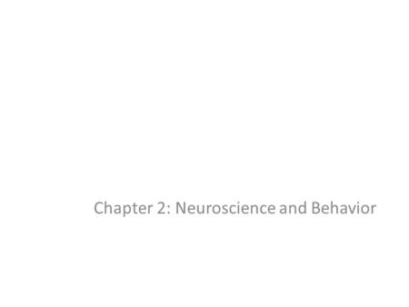 Chapter 2: Neuroscience and Behavior