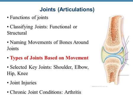 Joints (Articulations) Functions of joints Classifying Joints: Functional or Structural Naming Movements of Bones Around Joints Types of Joints Based on.