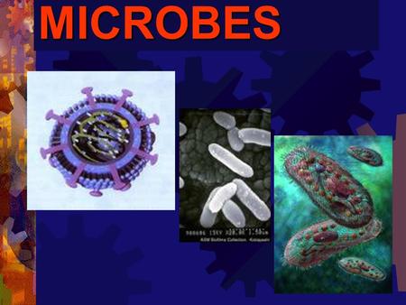 MICROBES. The Virus  Genetic material + Protein coat  Geometric shapes  Non -living, Reproductive machine.