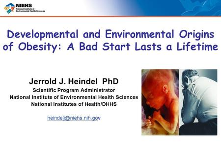 5/6/2005 Developmental and Environmental Origins of Obesity: A Bad Start Lasts a Lifetime Jerrold J. Heindel PhD Scientific Program Administrator National.