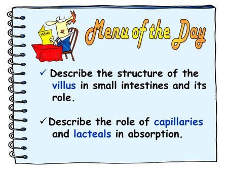 Menu of the Day Describe the structure of the