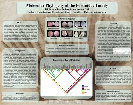 Molecular Phylogeny of the Pectinidae Family Jill Hansen, Lou Puslednik, and Jeanne Serb Ecology, Evolution, and Organismal Biology, Iowa State University,